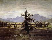 Caspar David Friedrich The Lone Tree oil